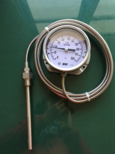 Đồng hồ đo nhiệt độ có dây Wise